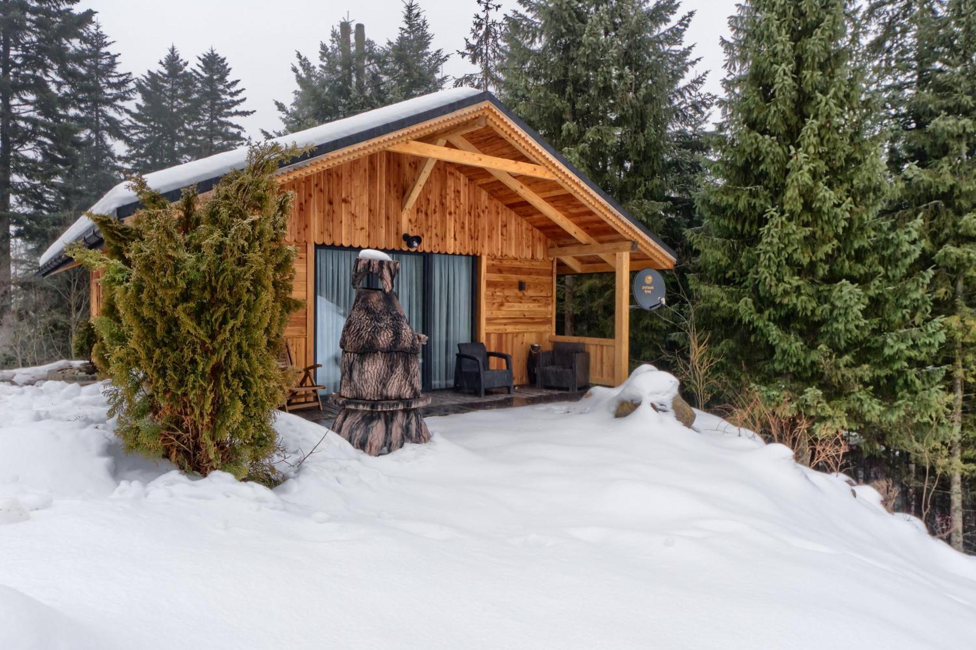 Domek Lesny Zakopane Buitenkant foto